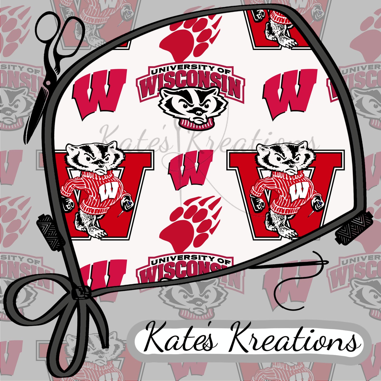 Wisconsin Badgers