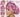 Pink Mean Girls