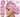 Retro Pink Cowgirl