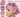 Pink Mean Girls