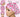 Retro Pink Cowgirl