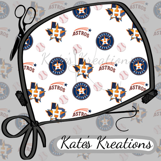 Houston Astros Texas