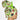 Grinch High Bun Ponytail Scrub Cap