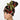 Jurassic Park Black High Bun Ponytail Scrub Cap