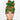 Land Before Time High Bun Ponytail Scrub Cap