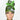 Rick And Morty High Bun Ponytail Scrub Cap